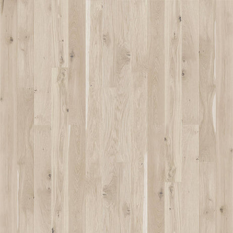 Manor Colwick 14mm Oak Matt Lacquer Click Engineered Floor