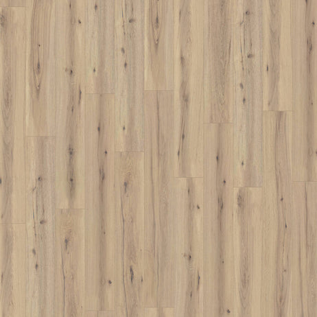 Prestige Plus Laminate Flooring 12mm Phoenix Oak AC5 0032
