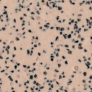 Polysafe Standard Elmwood Heavy Duty Safety Flooring
