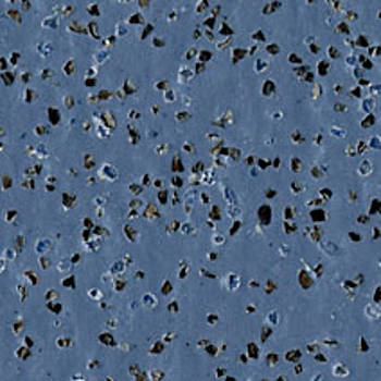 Polysafe Standard Storm Blue Heavy Duty Safety Flooring