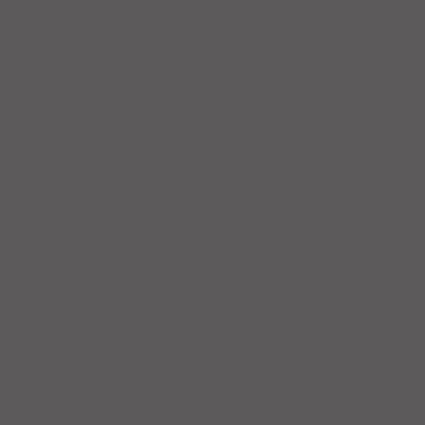 Plain Colours Solid Dark Grey 919D Vinyl Flooring