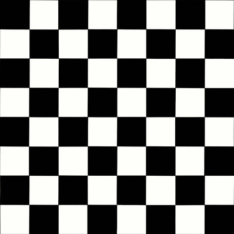 Ecostep Vinyl Flooring Black White 019D