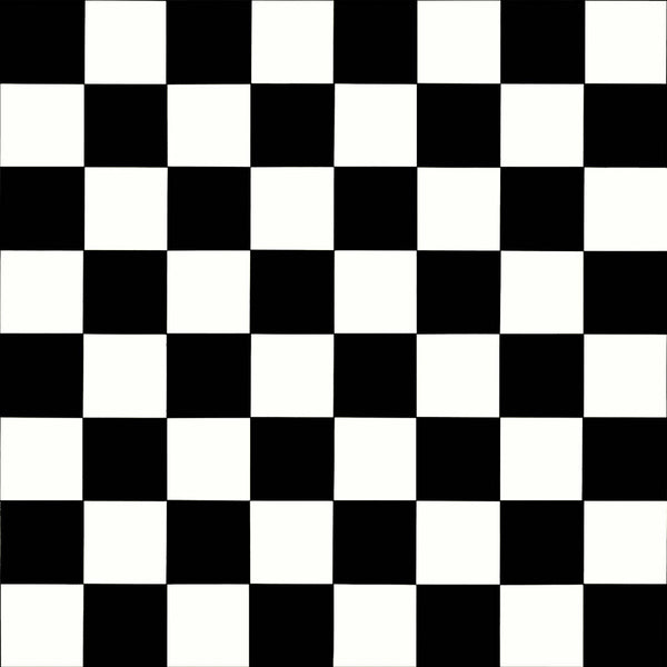 Ecostep Vinyl Flooring Black White 019D